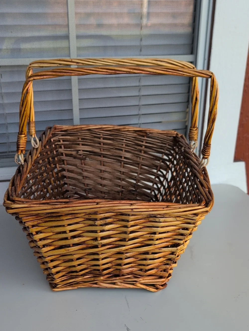 Vintage Woven Double-Handle Storage Basket - Brown (226)